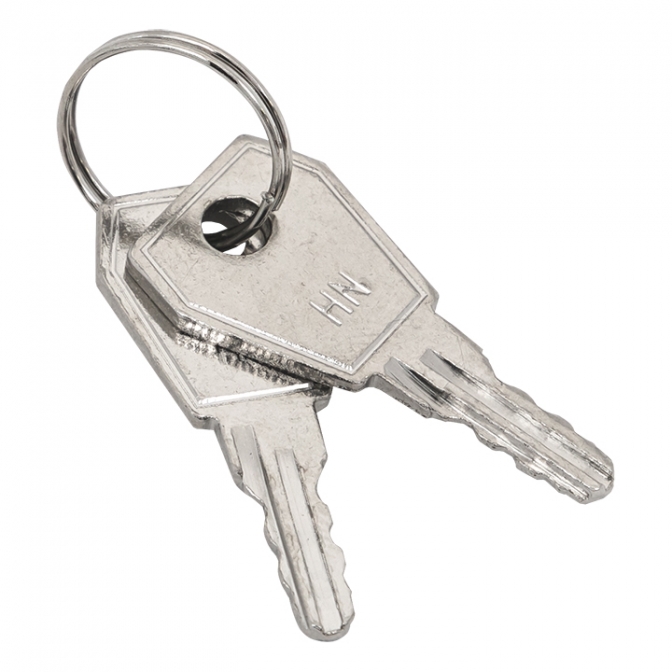 Ключ для пластикового замка к ЩРН (арт. lock-shrn-ip31) EKF PROxima - фото1