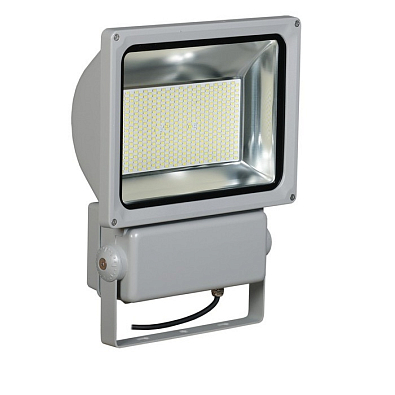 Прожектор СДО 04-200 светодиодный серый SMD IP65 - фото1