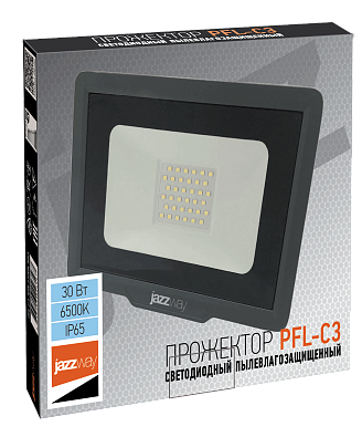 PFL-C3 30w 6500K IP65 Прожектор светодиодный - фото2
