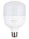 Лампа светодиодная T 30 Вт, 230 В, 4000 К, E27 (100x165 мм) TDM ELECTRIC - фото2