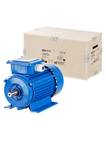 Электродвигатель АИР 100L6 2,2 кВт 1000 об/мин 1081 TDM ELECTRIC