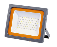 PFL-SC-100W 6500K IP65 Прожектор светодиодный