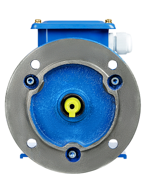 Электродвигатель АИР 90L2 3 кВт 3000 об/мин 2081 TDM ELECTRIC - фото5