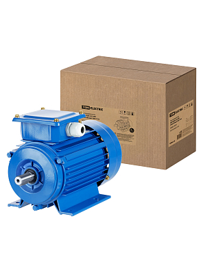 Электродвигатель АИР 63B6 0,25 кВт 1000 об/мин 1081 TDM ELECTRIC - фото1