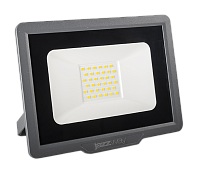 PFL-C3 30w 6500K IP65 Прожектор светодиодный