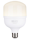 Лампа светодиодная T 30 Вт, 230 В, 4000 К, E27 (100x165 мм) TDM ELECTRIC - фото4